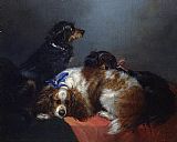 Two King Charles Spaniels and a Terrier